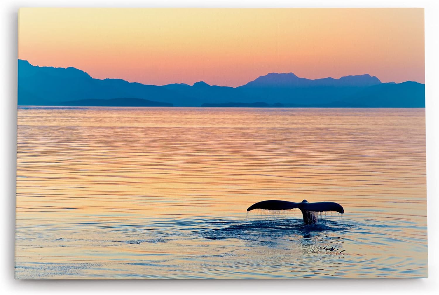 Wandbild 120x80cm Alaska Ozean Wal Walflosse Blaue Stunde Berge