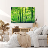 Paul Sinus Wandbild 120x80cm Wald Bäume Natur Grün Waldweg Sonnenschein