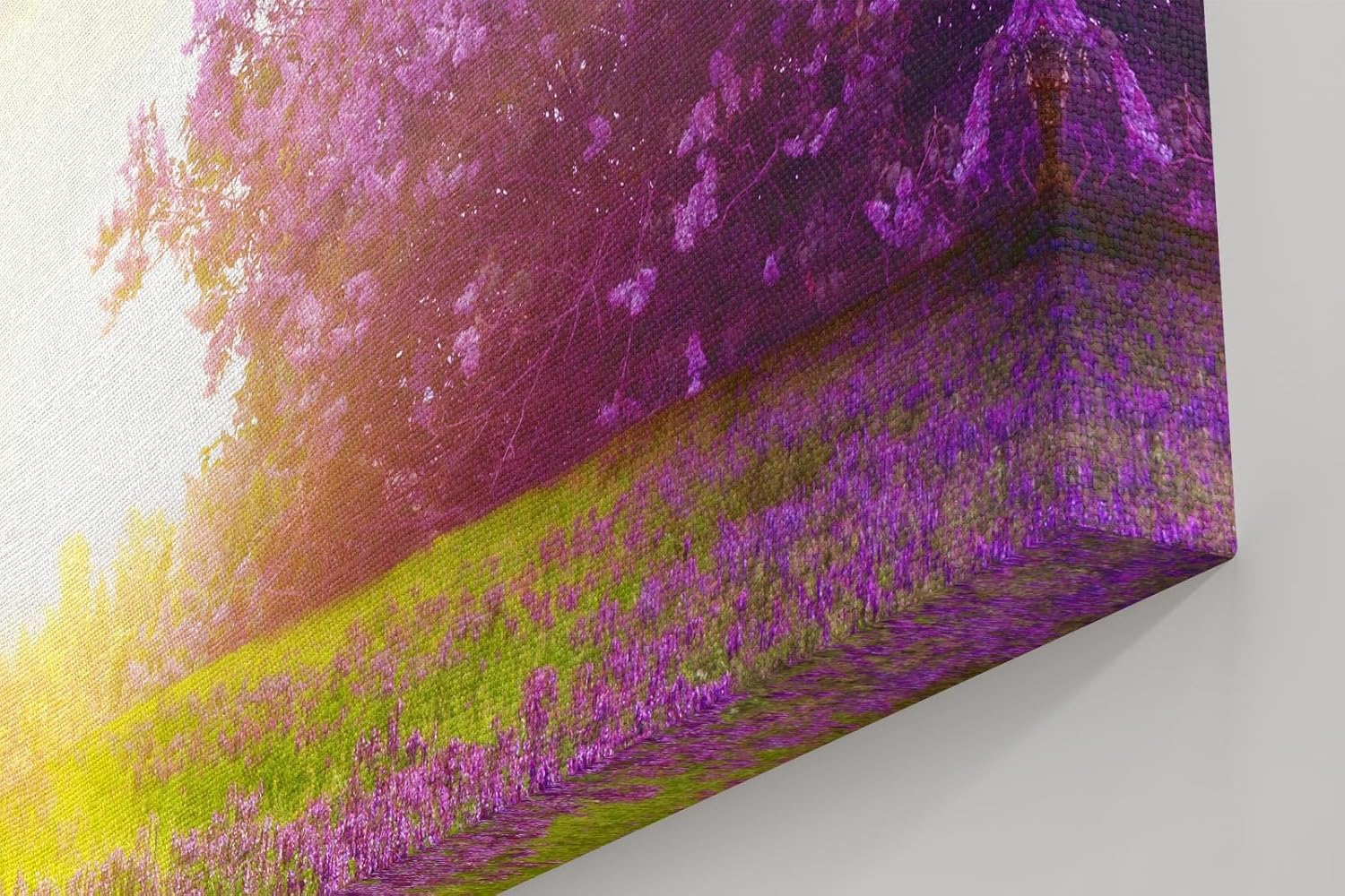 Sinus Art Wandbild 120x80cm Zauberhafte Lavendellandschaft mit Lichtspiel und blühenden Büschen