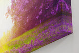 Sinus Art Wandbild 120x80cm Zauberhafte Lavendellandschaft mit Lichtspiel und blühenden Büschen