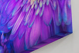 Sinus Art Wandbild 120x80cm Zwei Blüten in Nahaufnahme – detailreich und harmonisch miteinander verschmolzen
