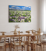 Paul Sinus Wandbild 120x80cm Gänseblümchen Blumenwiese Wiese Sommer Wildblumen