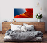 rote Blumen ca. 130x70cm Wandbild inklusive Schattenfugenrahmen weiss - Panorama Leinwand Bild XXL Format Wandbilder Wohnzimmer Wohnung Deko Kunstdrucke