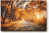 Sinus Art Wandbild 120x80cm Faszinierende Herbstallee mit goldenen Blättern und Lichtspiel in der Natur