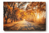 Sinus Art Wandbild 120x80cm Faszinierende Herbstallee mit goldenen Blättern und Lichtspiel in der Natur