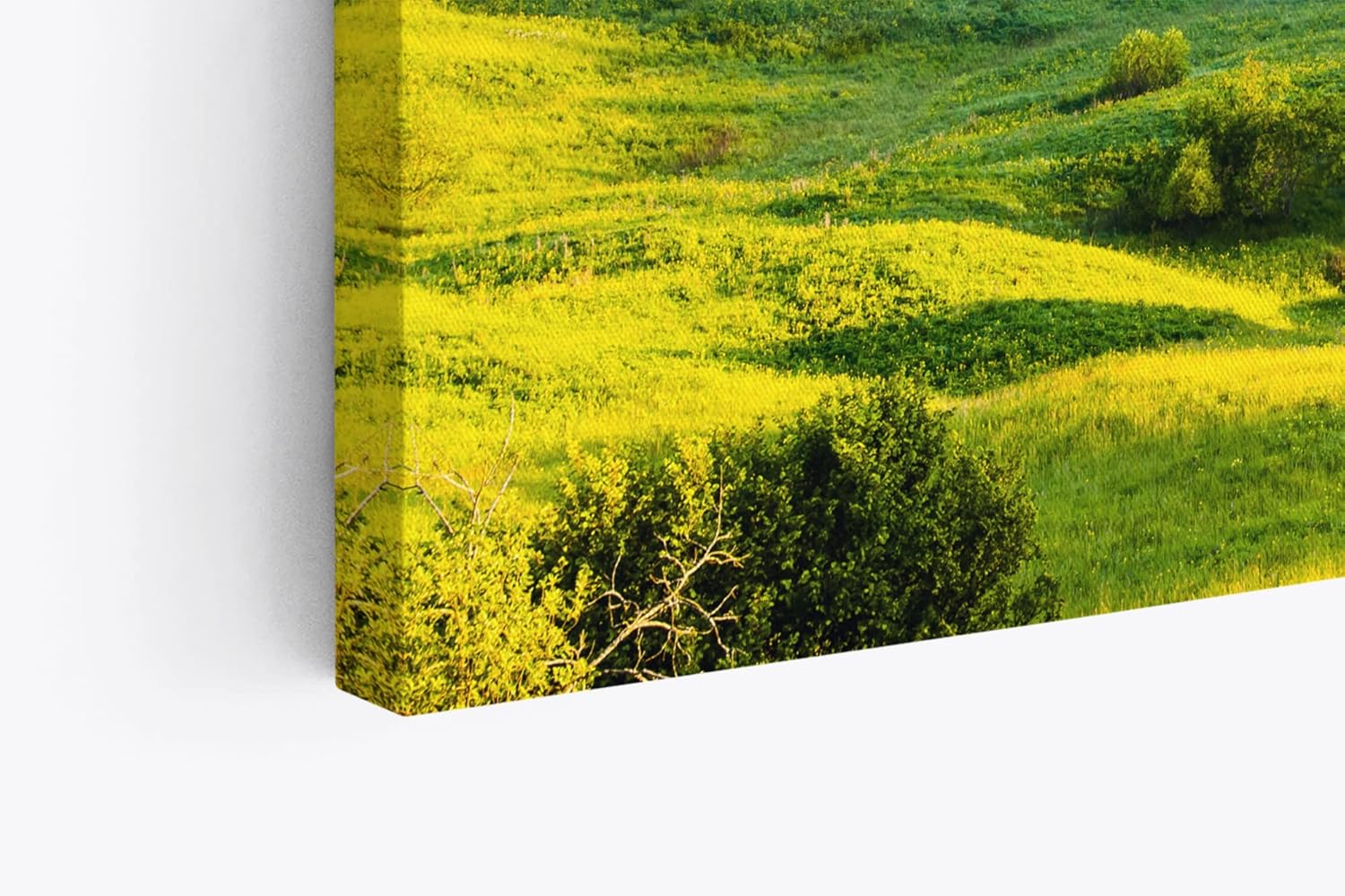 Paul Sinus Wandbild 120x80cm Berge Hügel Wiese Landschaft Grün Nebel Morgentau