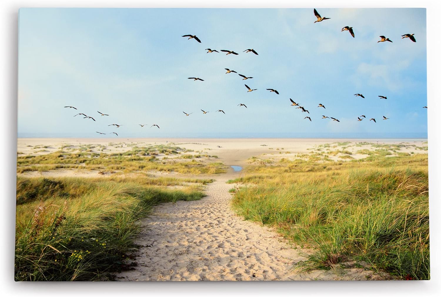 Paul Sinus Wandbild 120x80cm Ostsee Strand Sand Meer Entenflug Horizont