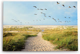 Paul Sinus Wandbild 120x80cm Ostsee Strand Sand Meer Entenflug Horizont