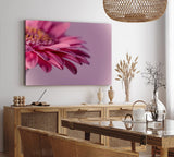 Paul Sinus Wandbild 120x80cm Barberton Blume Blüte Rosa Nahaufnahme Kunstvoll