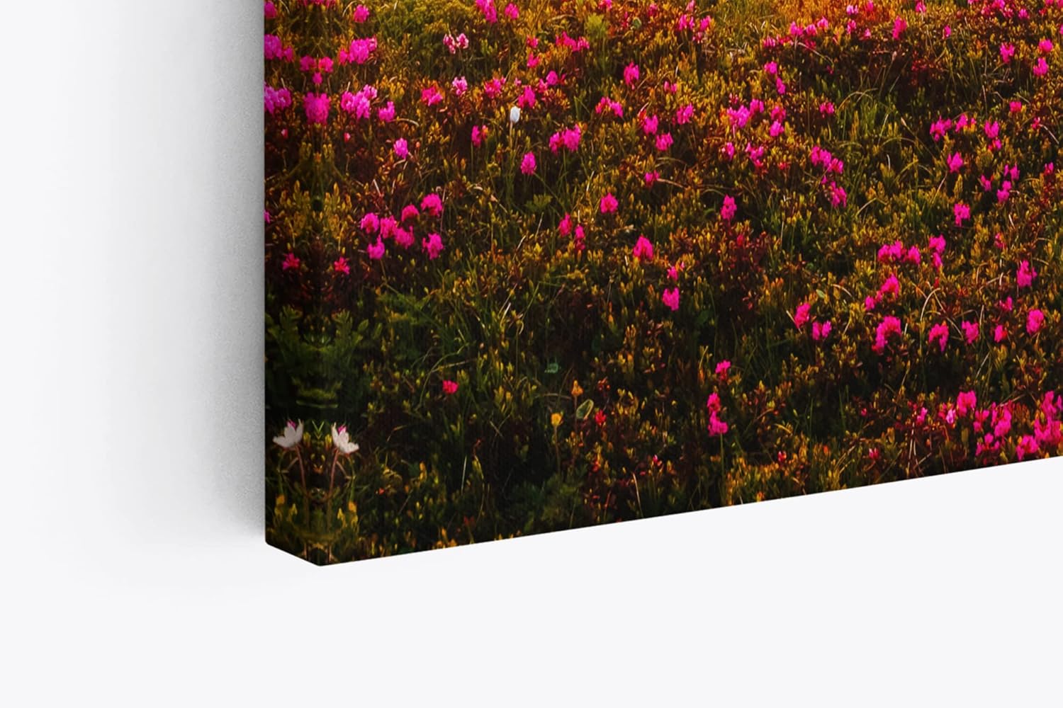 Paul Sinus Wandbild 120x80cm Berglandschaft Alpen Wiese Sommerwiese Sonnenuntergang