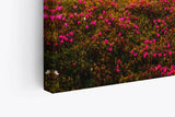 Paul Sinus Wandbild 120x80cm Berglandschaft Alpen Wiese Sommerwiese Sonnenuntergang
