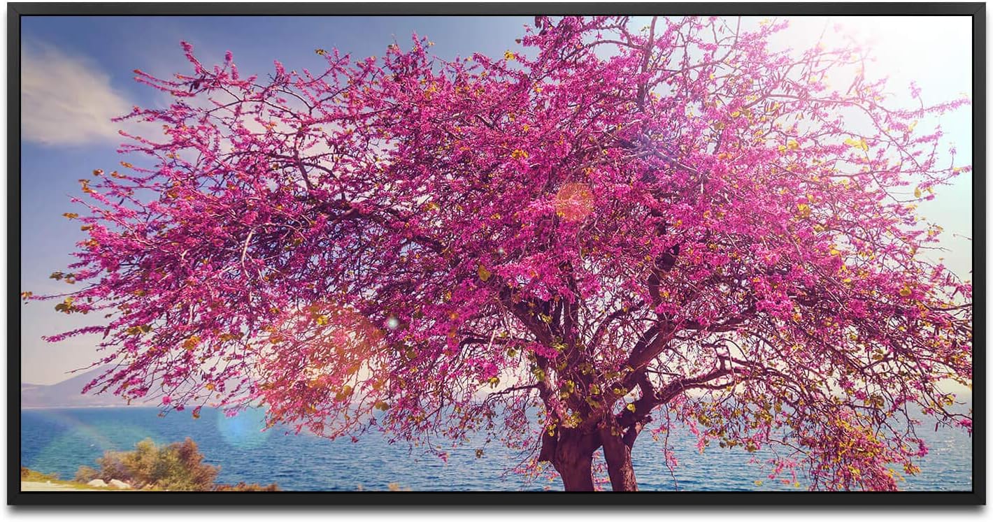 blühender Baum ca. 130x70cm Wandbild inklusive Schattenfugenrahmen schwarz - Panorama Leinwand Bild XXL Format Wandbilder Wohnzimmer Wohnung Deko Kunstdrucke