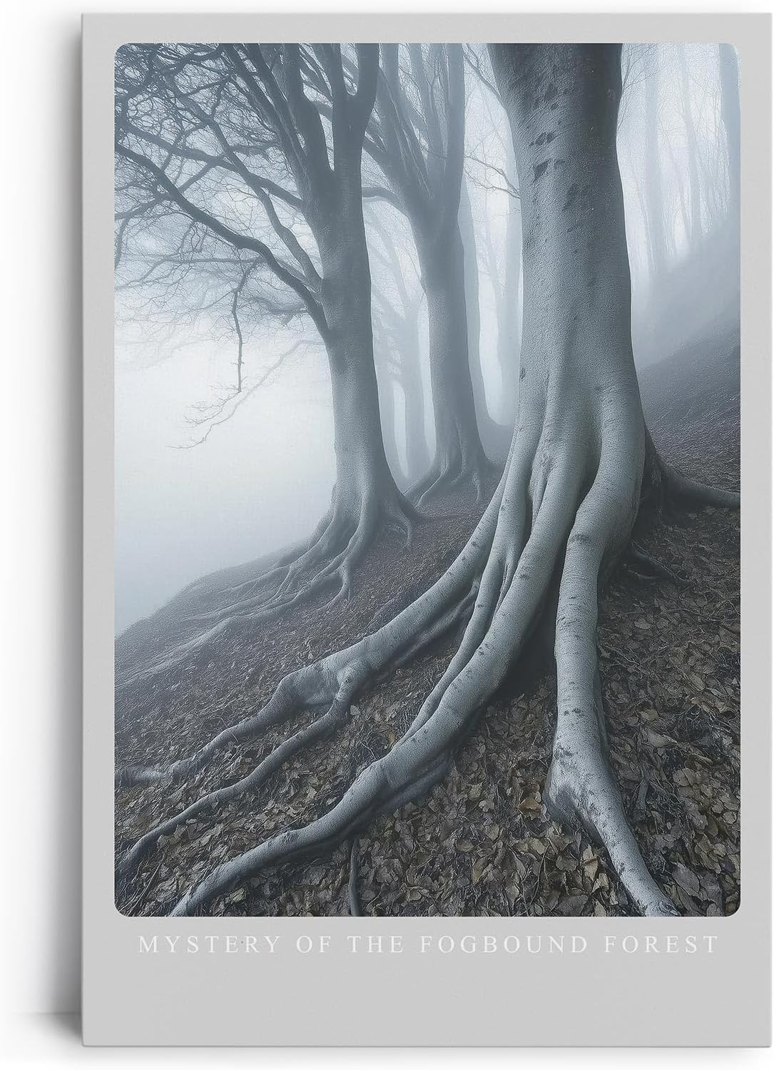 Paul Sinus Leinwandbild 60x90cm geheimnisvolle Waldszene mit nebelverhangenen Bäumen, mystische Wandkunst in kühlen Grautönen mit atmosphärischer Tiefe