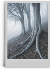 Paul Sinus Leinwandbild 60x90cm geheimnisvolle Waldszene mit nebelverhangenen Bäumen, mystische Wandkunst in kühlen Grautönen mit atmosphärischer Tiefe