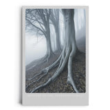 Paul Sinus Leinwandbild 60x90cm geheimnisvolle Waldszene mit nebelverhangenen Bäumen, mystische Wandkunst in kühlen Grautönen mit atmosphärischer Tiefe