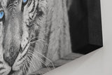 Sinus Art Wandbild 120x80cm Der intensive Blick des Tigers mit leuchtend blauen Augen schafft eine starke Präsenz