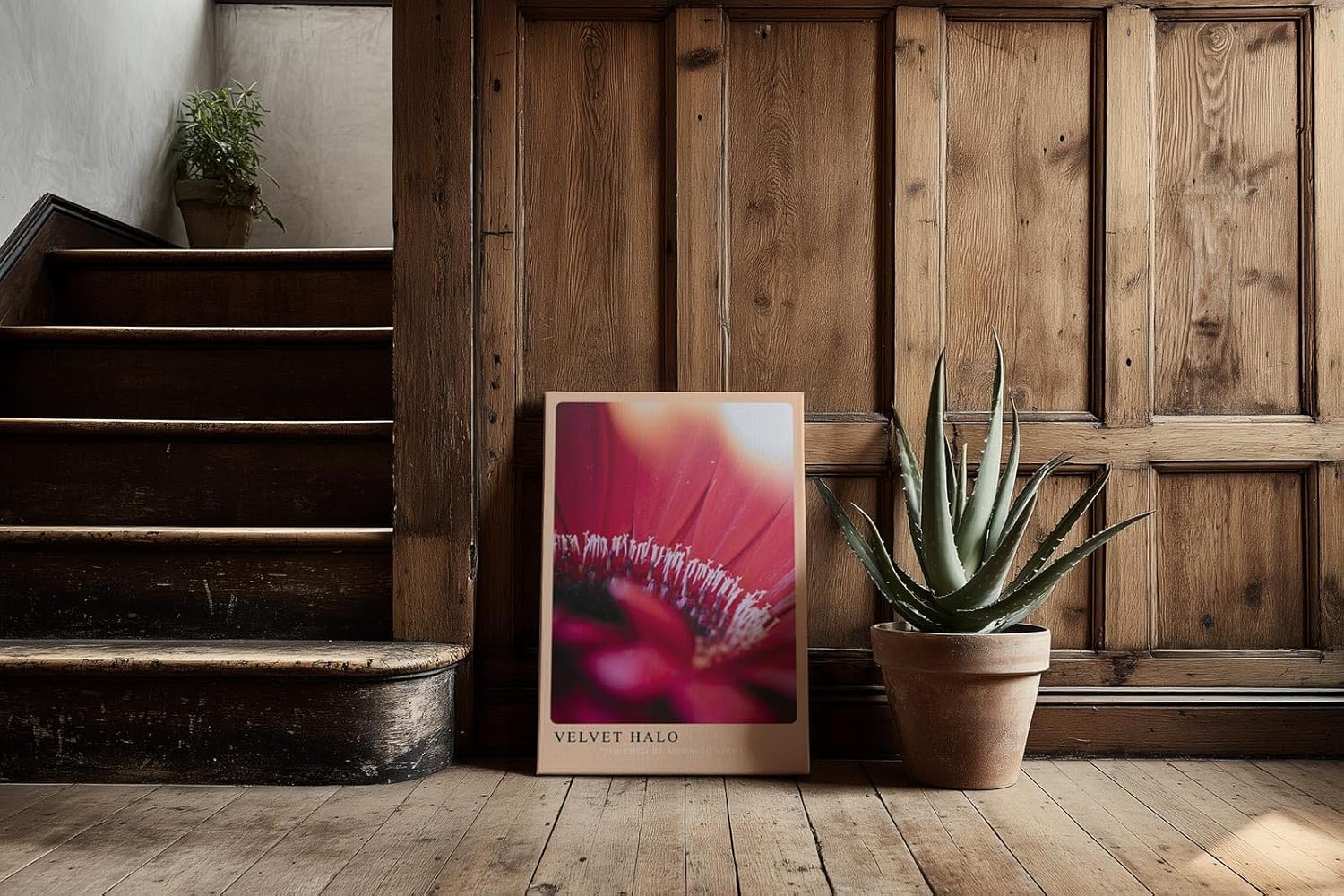 Paul Sinus Kunstdruck 40x60cm Velvet Halo – zartes Blütenmotiv in weichem Licht und samtiger Atmosphäre