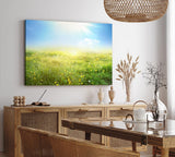 Paul Sinus Wandbild 120x80cm Sommerwiese Wiese Gras Sonnenschein Sommer