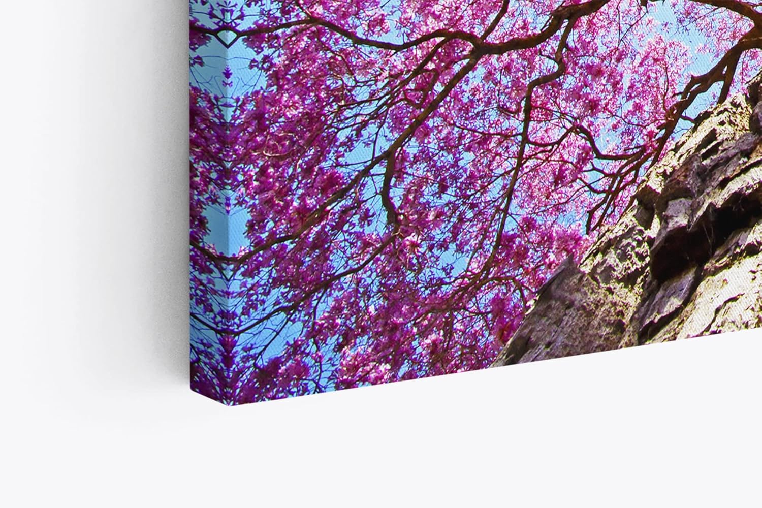 Paul Sinus Wandbild 120x80cm Baumkrone Lapacho Baum in Pocone Rosa blauer Himmel