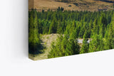 Paul Sinus Wandbild 120x80cm Berg Bergsee Alaska Natur Schneegipfel Wald See