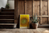 Paul Sinus Kunstdruck 40x60cm Fibonacci in Bloom Sonnenblume Makro Gelb Natur Geometrie Bruchstruktur