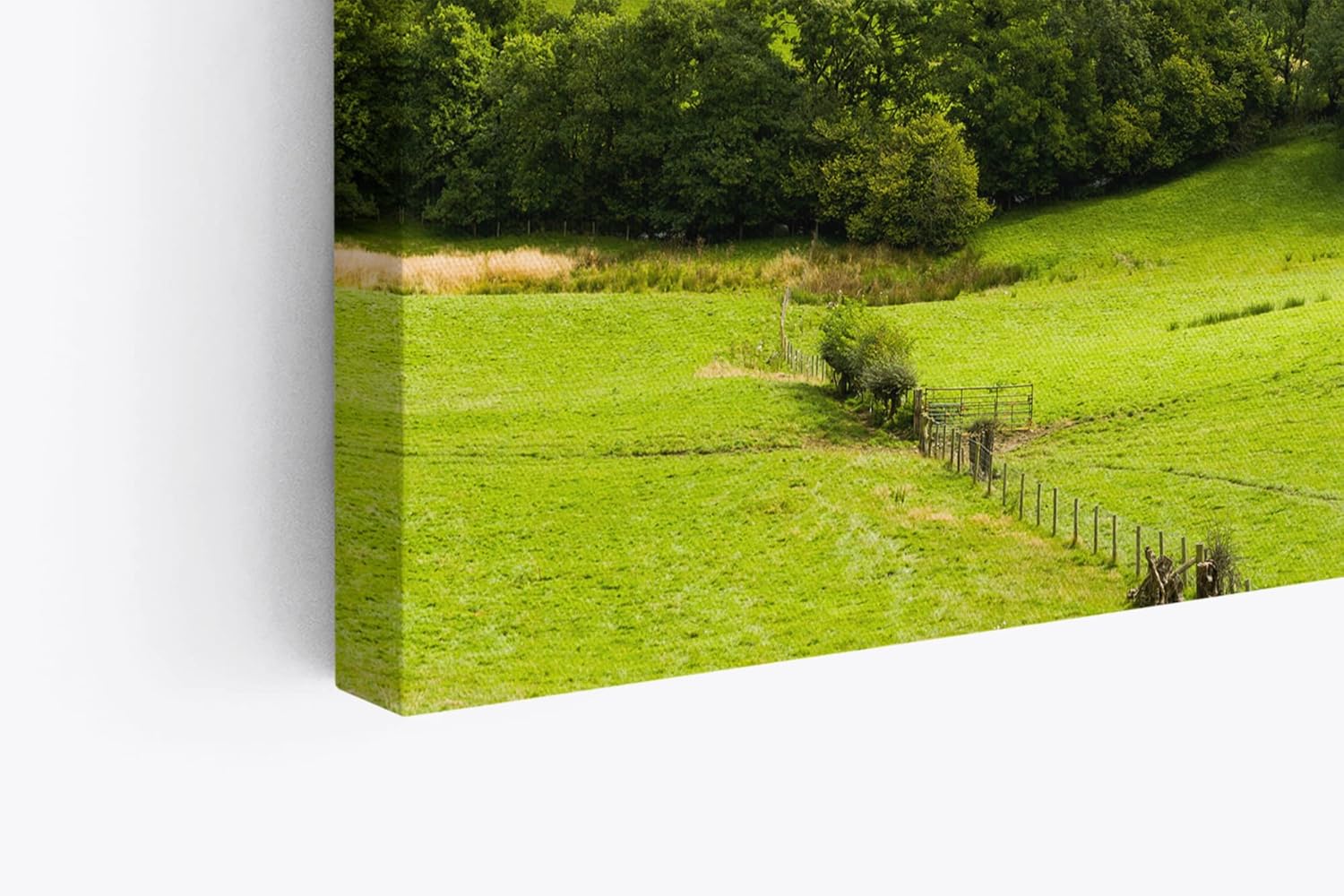 Paul Sinus Wandbild 120x80cm Landschaft Natur Berge Hügel Grün Bäume Wiese
