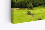 Paul Sinus Wandbild 120x80cm Landschaft Natur Berge Hügel Grün Bäume Wiese
