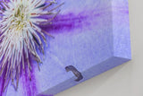 Sinus Art Wandbild 120x80cm Detailreiche Darstellung einer Clematisblüte in Violett mit weißem Zentrum
