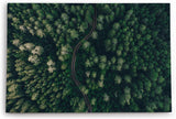 Paul Sinus Wandbild 120x80cm Wald aus der Vogelperspektive Tannenwald Waldstraße