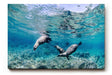 Sinus Art Wandbild 120x80cm Faszinierende Szene mit schwimmenden Seelöwen in Bewegung in türkisblauer Umgebung