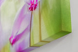 Sinus Art Wandbild 120x80cm Filigrane Cyclamenblüten in Rosa und Flieder vor weichem grünem Hintergrund