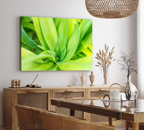 Paul Sinus Wandbild 120x80cm Grüne Pflanze Makrofotografie Kunstvoll Dekorativ