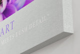 Paul Sinus Kunstdruck 40x60cm Lavender Heart Nahaufnahme violetter Blüte Where Light Meets Lush Detail