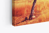 Wandbild 120x80cm Afrikanischen Grasland Berge Baum Natur Wildnis