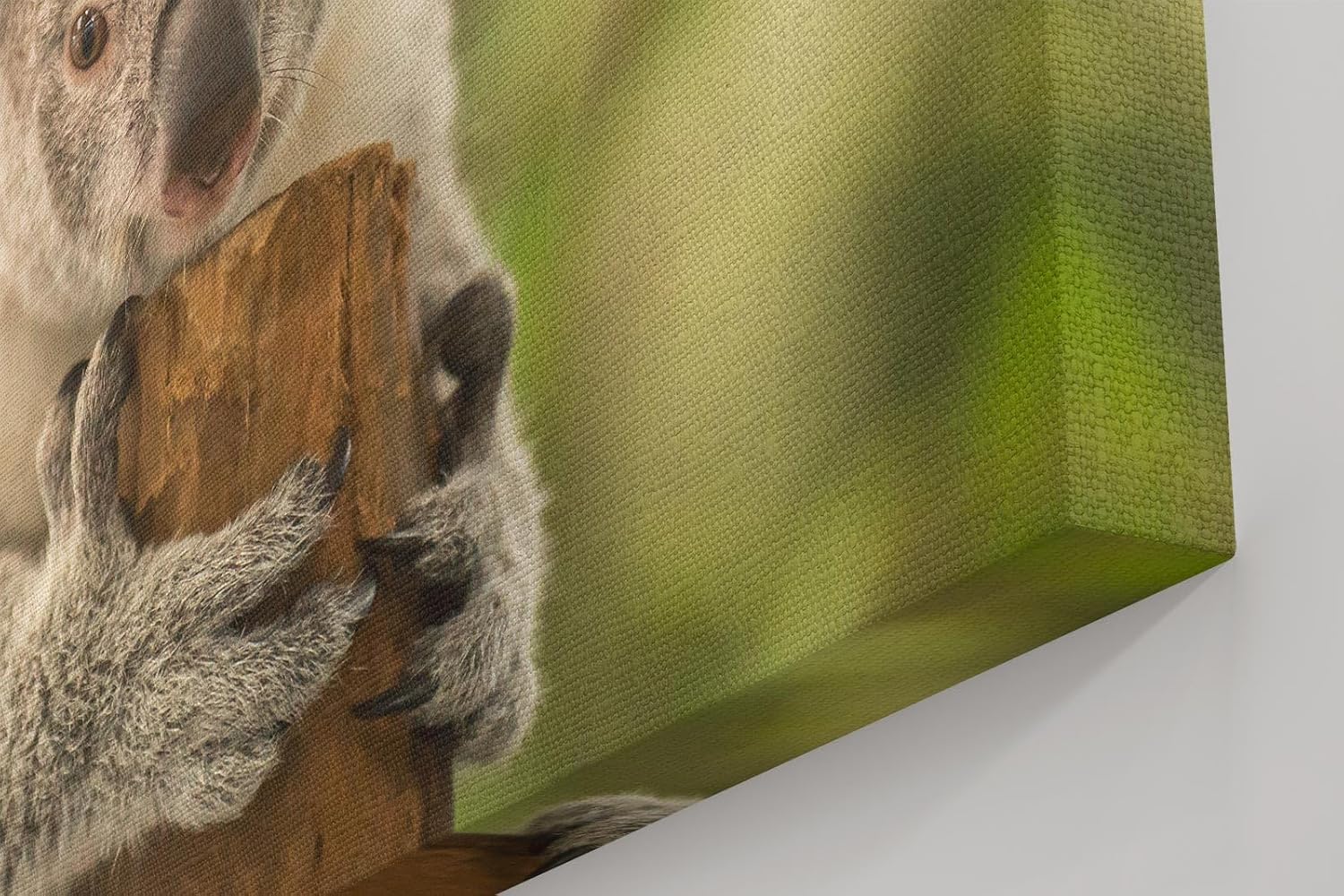 Sinus Art Wandbild 120x80cm Liebevolle Tieraufnahme mit Koala in natürlicher Pose vor ruhiger Kulisse