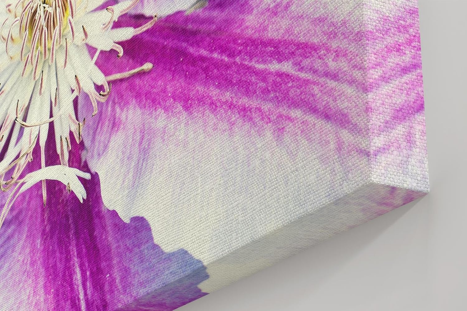 Sinus Art Wandbild 120x80cm Detaillierte Nahaufnahme einer lila-weißen Blüte mit ausdrucksstarker Struktur