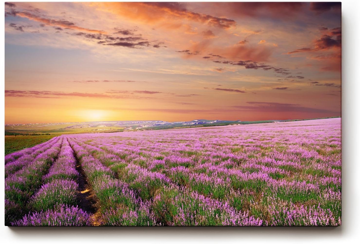 Sinus Art Wandbild 120x80cm Unendliches Lavendelfeld im warmen Licht des Sonnenuntergangs – beruhigend und harmonisch