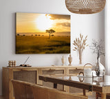Paul Sinus Wandbild 120x80cm Afrikanische Landschaft Burkea Africana Bäume Sonnenuntergang