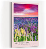 Paul Sinus Kunstdruck 40x60cm Lupinen Sonnenuntergang Blumenwiese Farbenpracht Natur Lupine Sunset