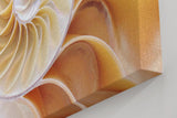 Sinus Art Wandbild 120x80cm Spiralförmige Nautilus-Schale in sanften Beige- und Perlmutttönen