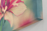 Sinus Art Wandbild 120x80cm Blüte in Rosé und Cremefarben mit weichem Hintergrund – romantisch und dezent