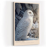 Paul Sinus Wandbild in 40x60cm Snowy Owl – elegante Schneeeule im Profil mit feiner Gefiederzeichnung vor winterlicher Kulisse