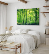 Paul Sinus Wandbild 120x80cm Wald Bäume Natur Grün Waldweg Sonnenschein