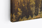 Paul Sinus Wandbild 120x80cm Berglandschaft Berge Gebirge Tannen Natur