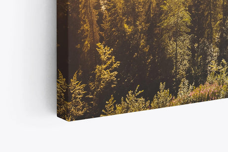 Paul Sinus Wandbild 120x80cm Berglandschaft Berge Gebirge Tannen Natur