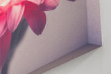 Sinus Art Wandbild 120x80cm Anmutige Nahaufnahme einer rosa Gerbera mit weichen Lichtverläufen