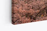 Paul Sinus Wandbild 120x80cm Japan Fuji Berg Kirschblüten Tempel Vulkan