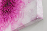 Sinus Art Wandbild 120x80cm Perfekte Nahaufnahme einer rosa Chrysantheme mit harmonischer Symmetrie und Tiefe