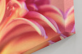 Sinus Art Wandbild 120x80cm Zartrosa Blütenstruktur mit transparentem Tautropfen – ruhig, romantisch und poetisch