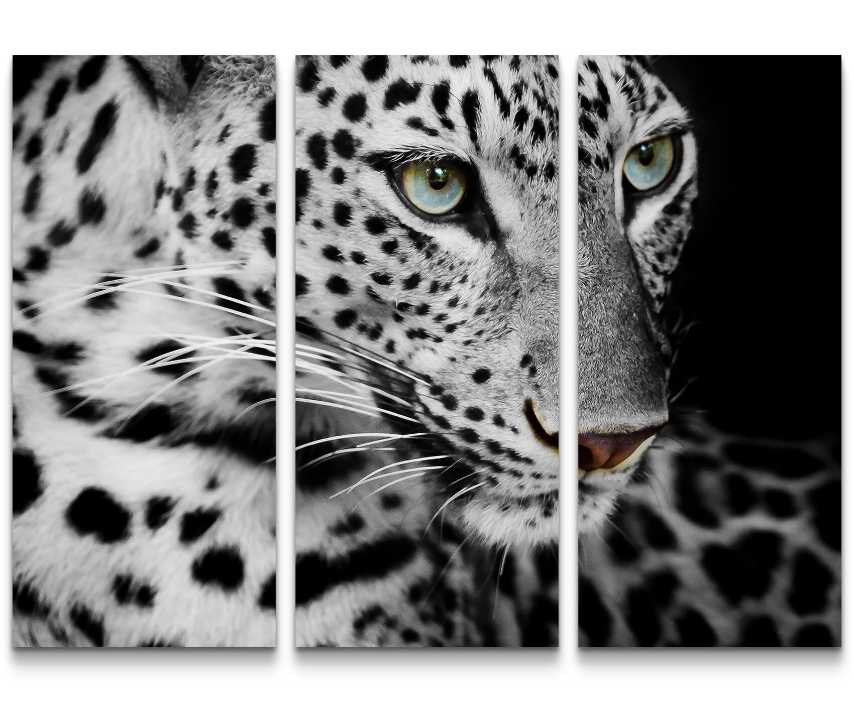 Paul Sinus Art Leinwandbilder | Bilder Leinwand 60x60cm Portrait eines liegenden Leoparden schwarzweiß